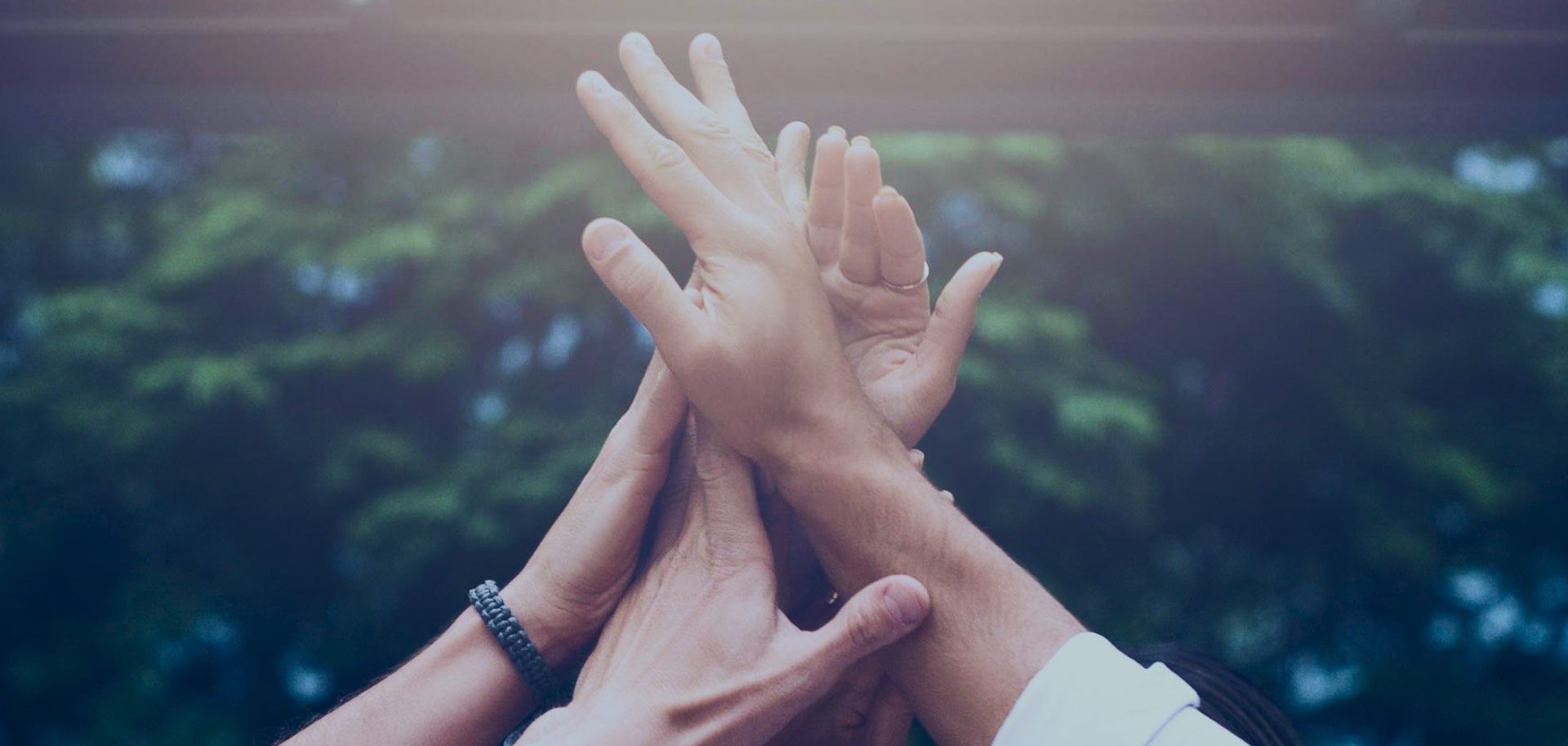 OUR PURPOSE AND VALUES visual data 5